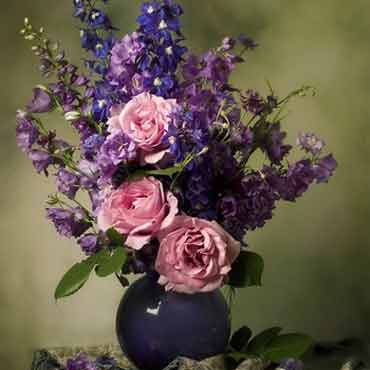 云呼死你网页版